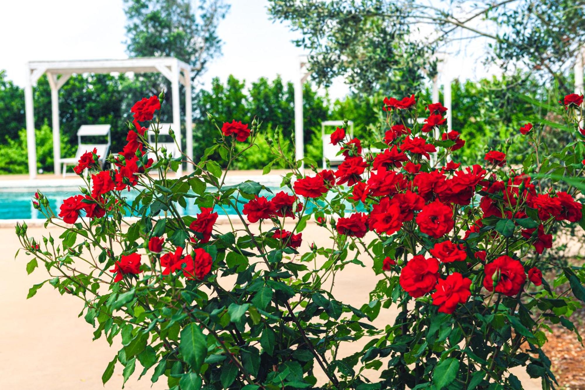 Tenuta Afra Squinzano Ngoại thất bức ảnh